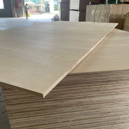 WhatsApp Image 2026-04-22 at 22.37.05