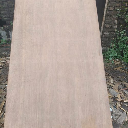 WhatsApp Image 2026-04-22 at 22.37.16