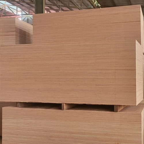 WhatsApp Image 2026-04-22 at 22.37.22 (1)