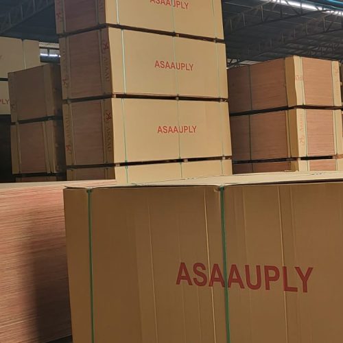 WhatsApp Image 2026-04-22 at 22.37.22