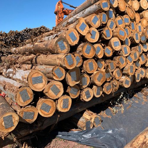 WhatsApp Image 2026-04-22 at 22.42.47