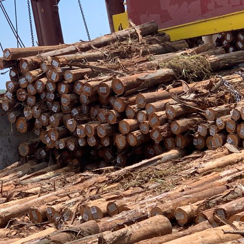 WhatsApp Image 2026-04-22 at 22.43.03 (1)