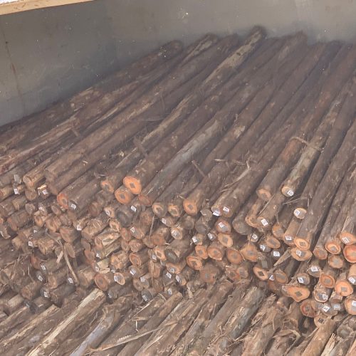 WhatsApp Image 2026-04-22 at 22.43.06 (1)