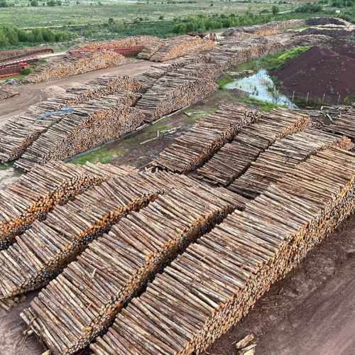 WhatsApp Image 2026-04-22 at 22.43.08