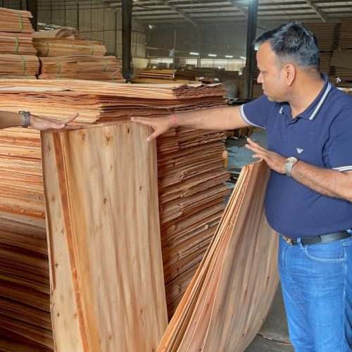 WhatsApp Image 2026-04-22 at 22.46.29