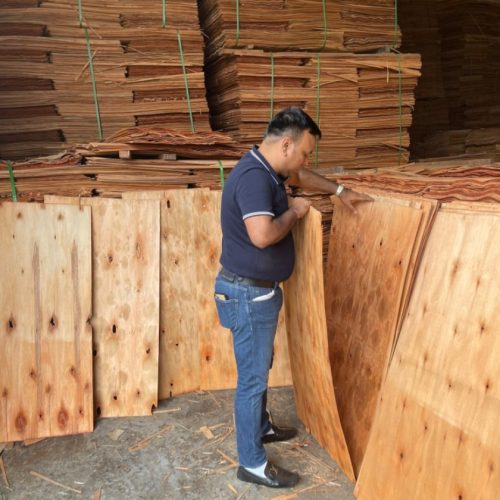 WhatsApp Image 2026-04-22 at 22.46.32 (1)