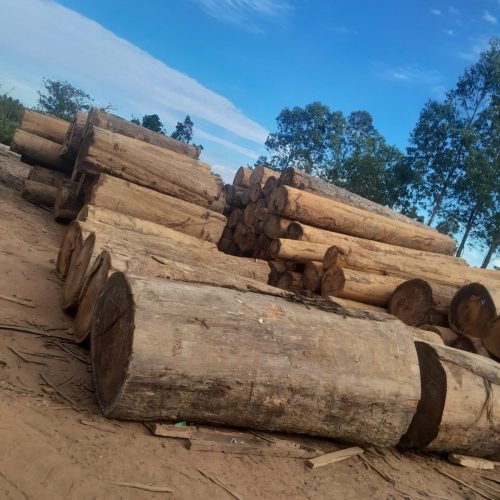 WhatsApp Image 2026-04-22 at 22.52.38