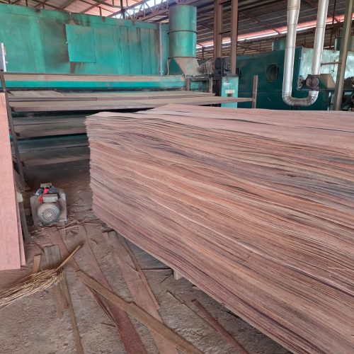 WhatsApp Image 2026-04-22 at 22.52.39